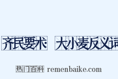 齐民要术·大小麦反义词是什么意思的图片